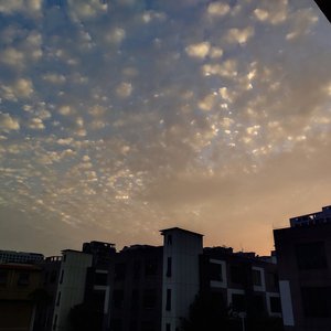 Gay男性玩奴sm调教
